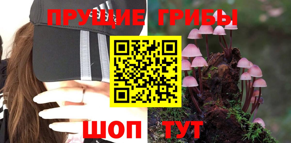 Партизанск  Псилоцибиновые грибы мицелий  Вход с VPN  Псилоцибиновые грибы Psilocybe 